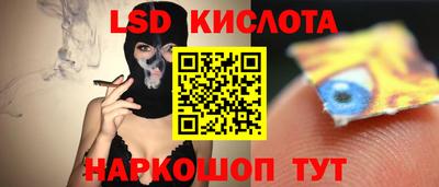 прущие грибы Лесосибирск