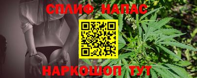 прущие грибы Лесосибирск