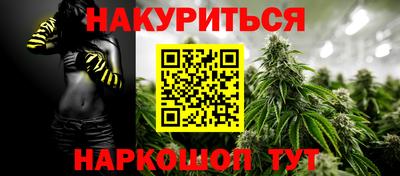 прущие грибы Лесосибирск