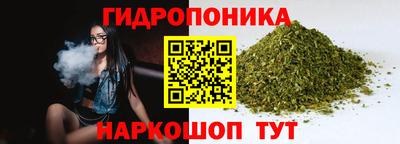 прущие грибы Лесосибирск