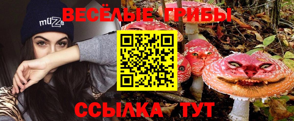 Псилоцибиновые грибы мицелий  где можно купить   Сыктывкар  Вход с VPN 