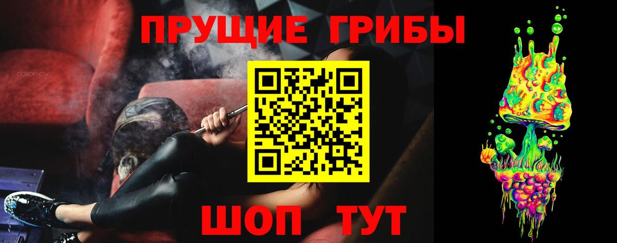 Галлюциногенные грибы Psilocybine cubensis Сыктывкар